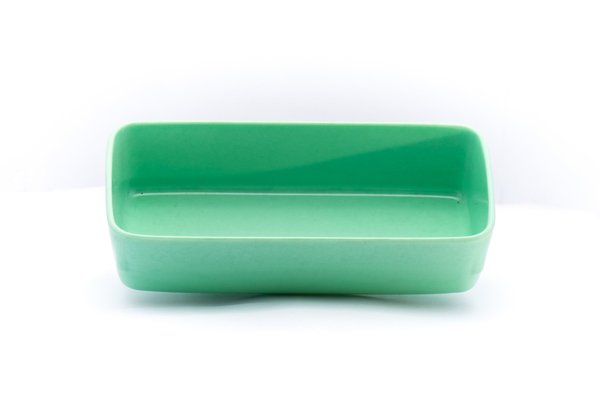 Repas - Raviers, Coupelles et boite de conservation - Ravier rectangulaire vert