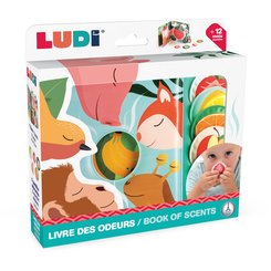 Jeux - Livres - Livre découverte des odeurs