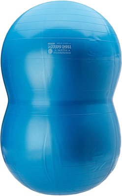 Motricité - Motricité Fine - Ballon gymnic physio roll 60 cm bleu