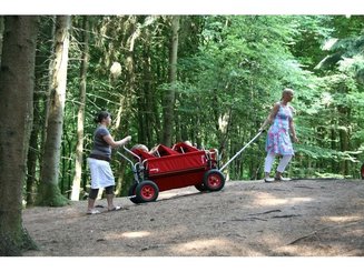 Puériculture - Poussette - Poussette chariot Rambler - 10 enfants