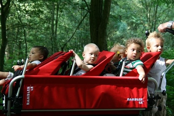 Puériculture - Poussette - Poussette chariot Rambler - 10 enfants