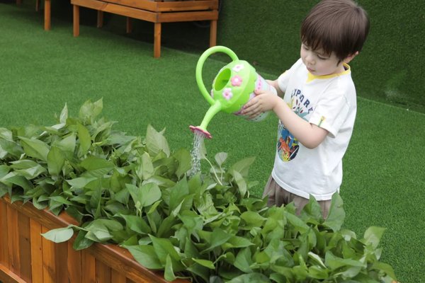 Mobilier - Mobilier extérieur - Jardinière pour le jardin d'enfants