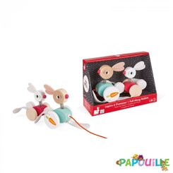 Jouets - Jouets à Pousser, à Tirer - Animal en bois à promener lapin