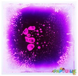 Motricité - Eveil Sensoriels et Tactiles - 4 dalles sensorielles à eau colorées