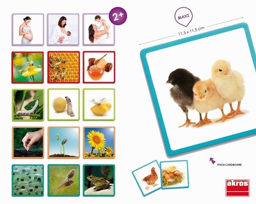 Jeux - Jeux Éducatifs et Puzzle - Cartes l’évolution dans la nature ( pour les enfants de 1 an et plus )
