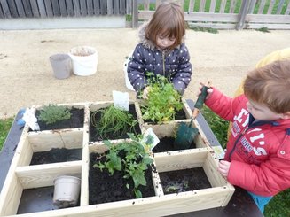 Mobilier - Mobilier extérieur - Carré potager en bois