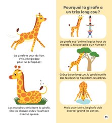 Jeux - Livres - Les animaux de la savane