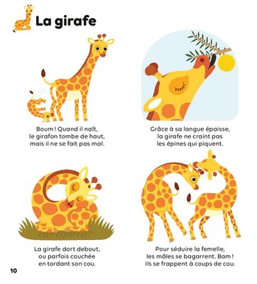 Jeux - Livres - Les animaux de la savane