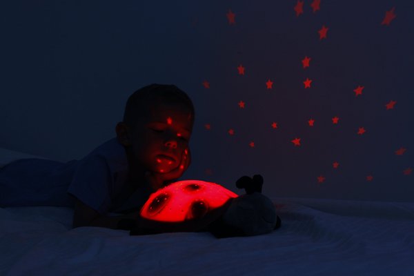 Couchage - Mobile de Lit Bébé et Veilleuse - Veilleuse coccinelle à projections lumineuses