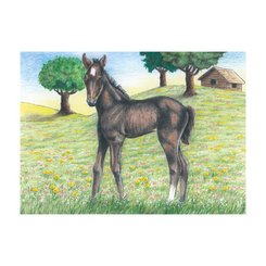Jeux - Jeux Éducatifs et Puzzle - Puzzle de cubes, animaux de la ferme