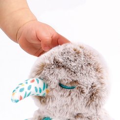Jouets - Jouets d'Éveil - Peluche D'activités Kiwi