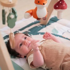 Jouets - Tapis et Jeux d'Éveil, Portiques d'Activité - Arche d'éveil en bois - Forêt 