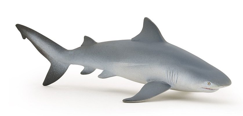 Jouets - Figurines - Figurine Requin bouledogue