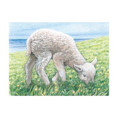 Jeux - Jeux Éducatifs et Puzzle - Puzzle de cubes, animaux de la ferme