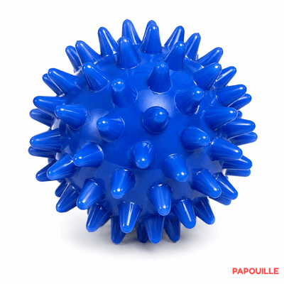Motricité - Eveil Sensoriels et Tactiles - Balle hérisson - Bleu
