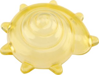 Motricité - Eveil Sensoriels et Tactiles - Coquillages sensoriels transparents - 36 pièces
