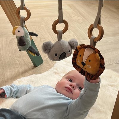Jouets - Tapis et Jeux d'Éveil, Portiques d'Activité - Portique Arceau de jeu Animal Adventure - 0m+