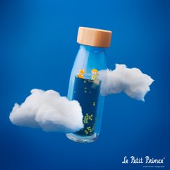 Motricité - Eveil Sensoriels et Tactiles - Bouteille sensorielle - Le petit prince