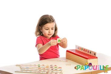 Jeux - Jeux Éducatifs et Puzzle - Carte d'apprentissage avec boîte de tri montessori en bois