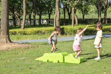 Motricité - Structure et panneaux D'activités - Jeu d'équilibre - crocodile
