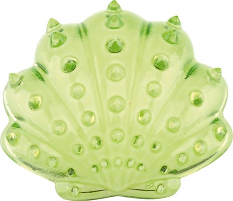 Motricité - Eveil Sensoriels et Tactiles - Coquillages sensoriels transparents - 36 pièces