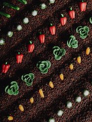 Motricité - Eveil Sensoriels et Tactiles - Bouteille sensorielle - Légumes