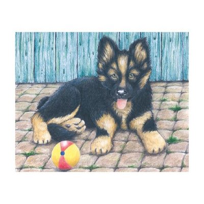 Jeux - Jeux Éducatifs et Puzzle - Puzzle de cubes, animaux de la ferme