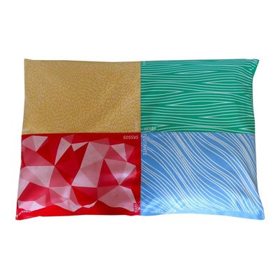 Motricité - Module de Motricité Bébé - Coussin Sensoriel - 4 Zones