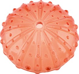 Motricité - Eveil Sensoriels et Tactiles - Coquillages sensoriels transparents - 36 pièces