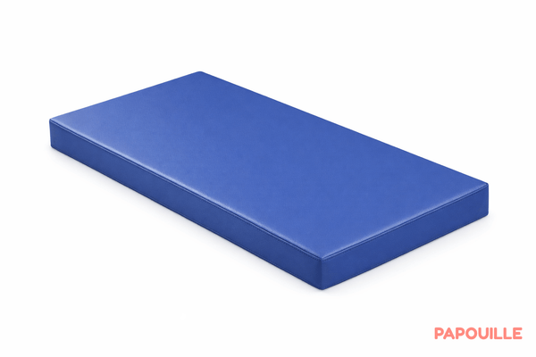 Couchage - Matelas Enfant, Plan incliné et Literie Bébé - Matelas en tissu imperméable 60 x 120 confort 10cm